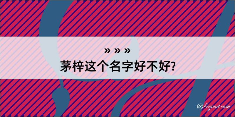 茅梓这个名字好不好?