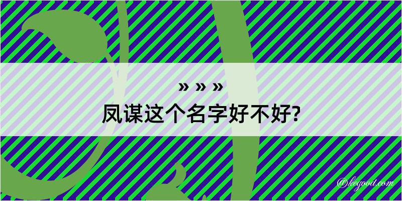 凤谋这个名字好不好?