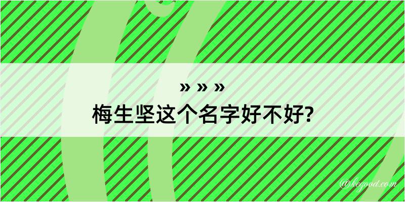 梅生坚这个名字好不好?