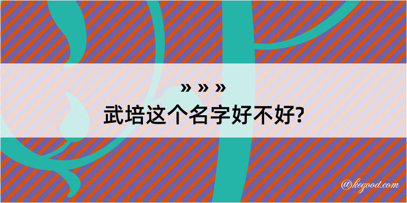 武培这个名字好不好?