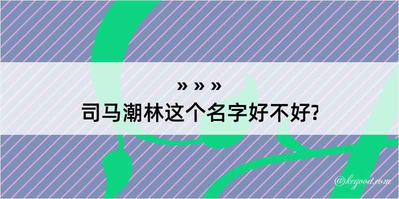 司马潮林这个名字好不好?