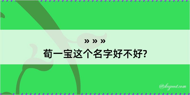 荀一宝这个名字好不好?