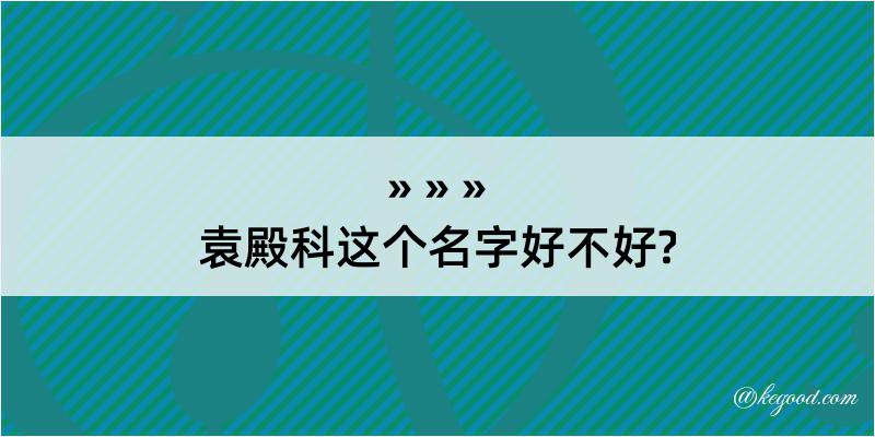 袁殿科这个名字好不好?