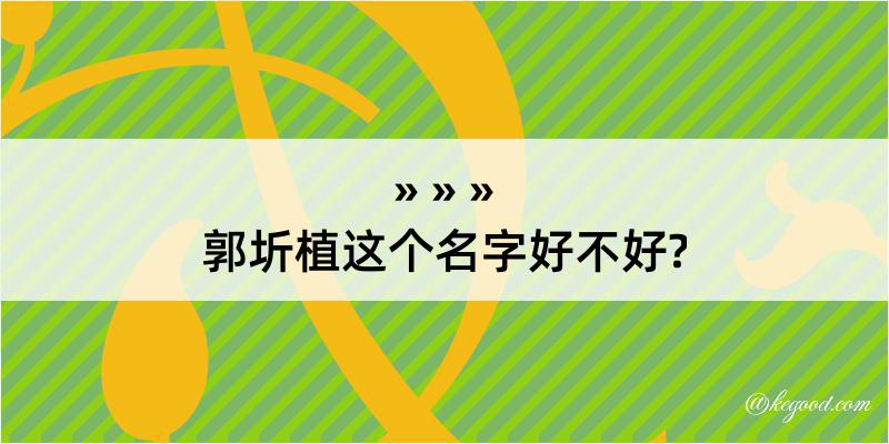 郭圻植这个名字好不好?