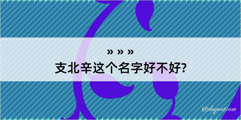 支北辛这个名字好不好?