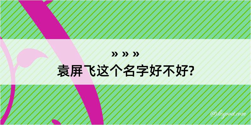 袁屏飞这个名字好不好?