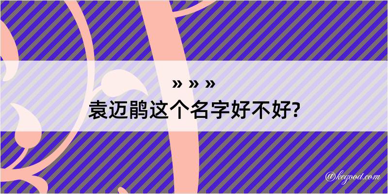 袁迈鹃这个名字好不好?