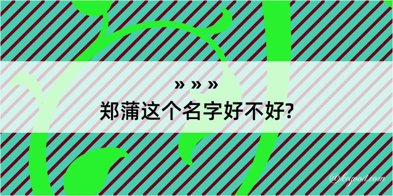 郑蒲这个名字好不好?