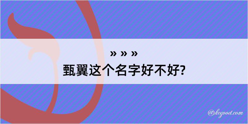 甄翼这个名字好不好?