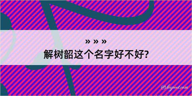 解树韶这个名字好不好?