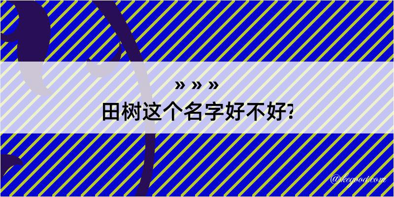 田树这个名字好不好?