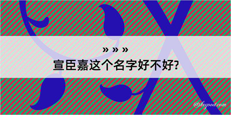 宣臣嘉这个名字好不好?