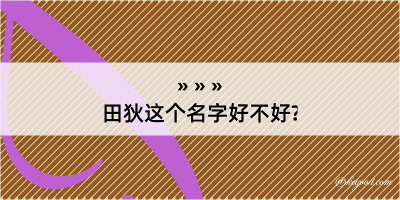 田狄这个名字好不好?