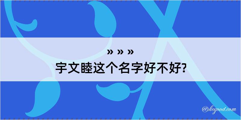 宇文睦这个名字好不好?