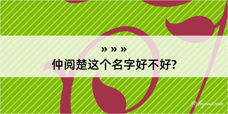 仲阅楚这个名字好不好?