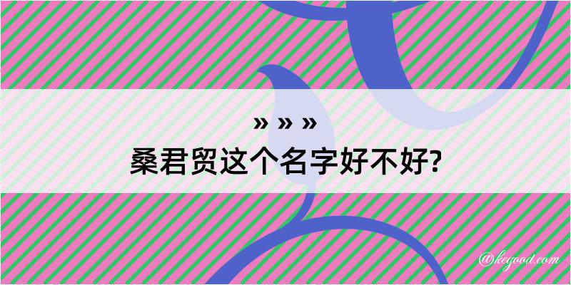 桑君贸这个名字好不好?