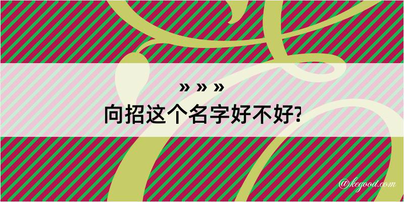 向招这个名字好不好?