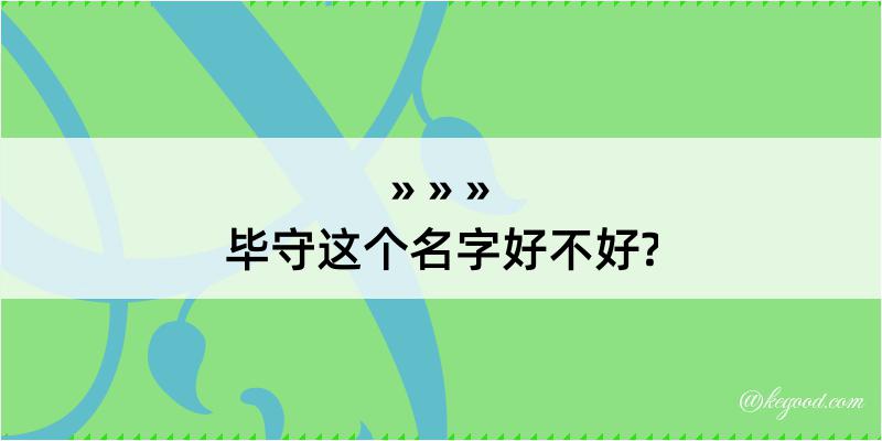 毕守这个名字好不好?