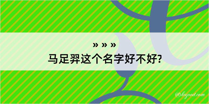 马足羿这个名字好不好?