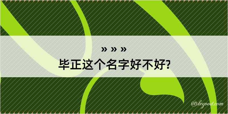 毕正这个名字好不好?