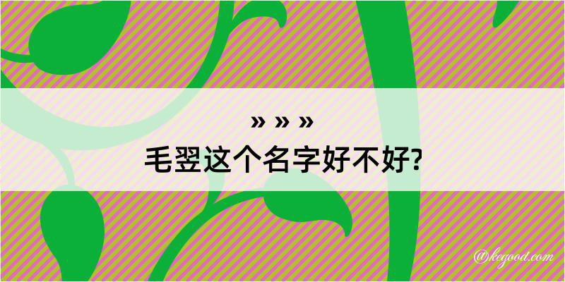 毛翌这个名字好不好?