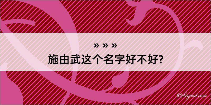 施由武这个名字好不好?