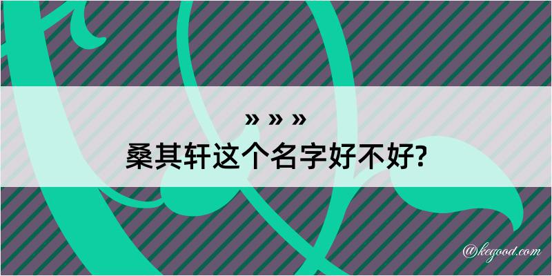 桑其轩这个名字好不好?