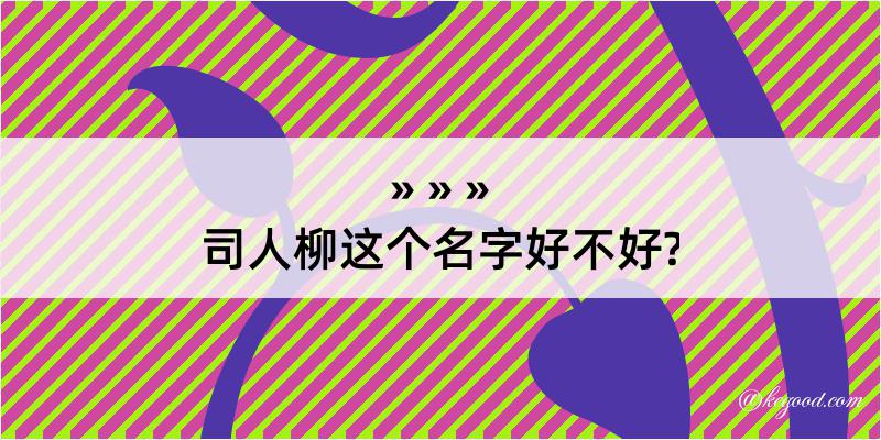 司人柳这个名字好不好?