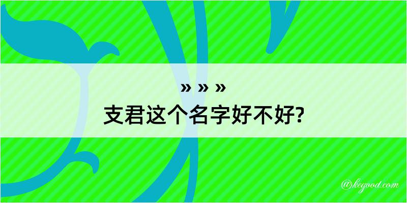 支君这个名字好不好?