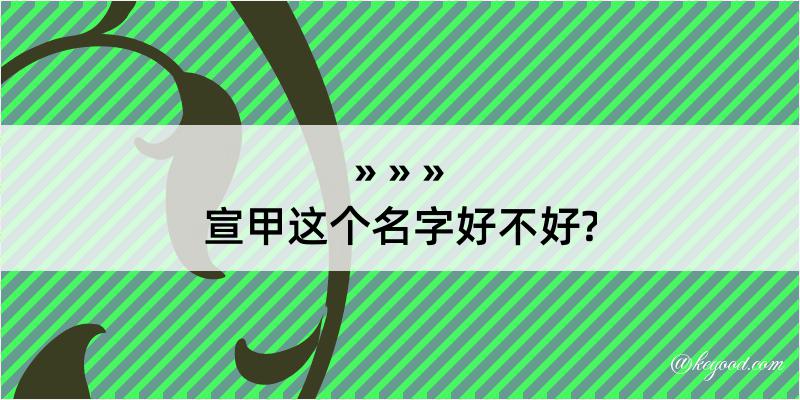 宣甲这个名字好不好?