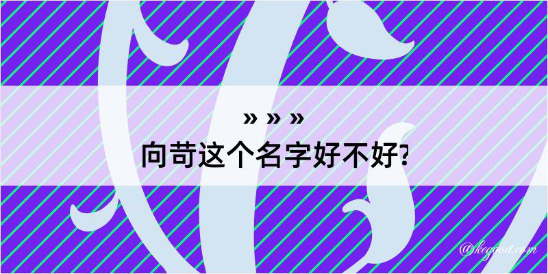 向苛这个名字好不好?