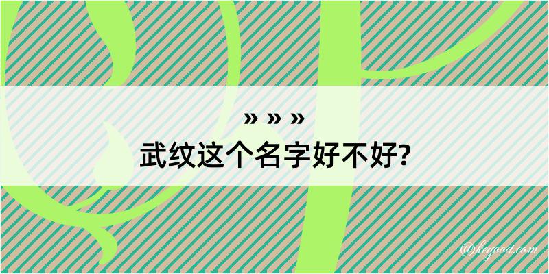 武纹这个名字好不好?