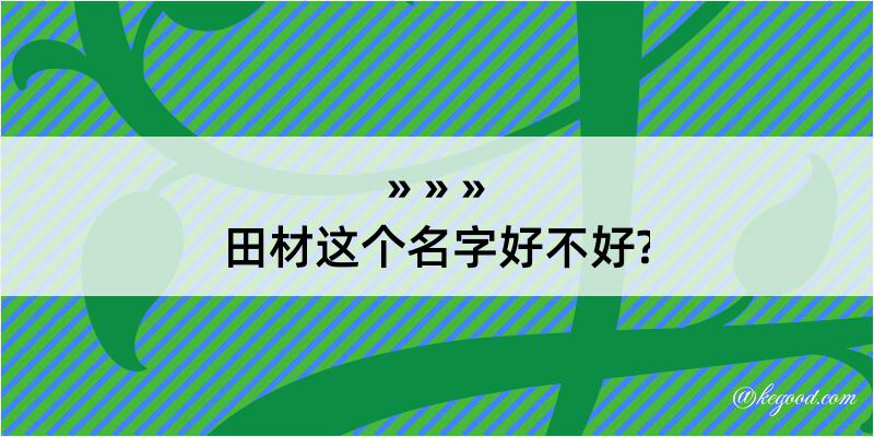 田材这个名字好不好?