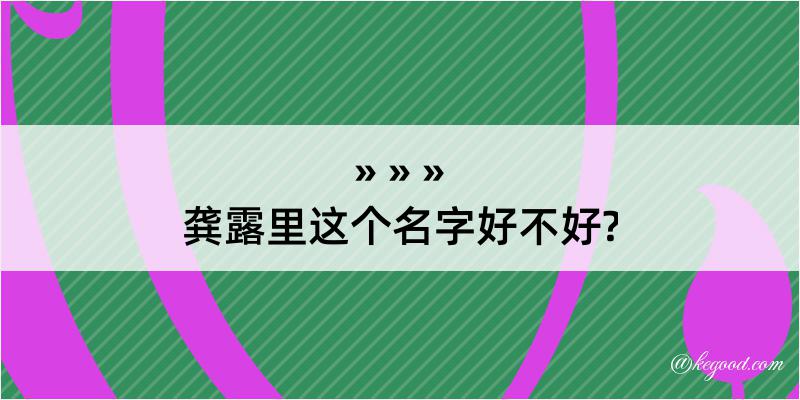 龚露里这个名字好不好?