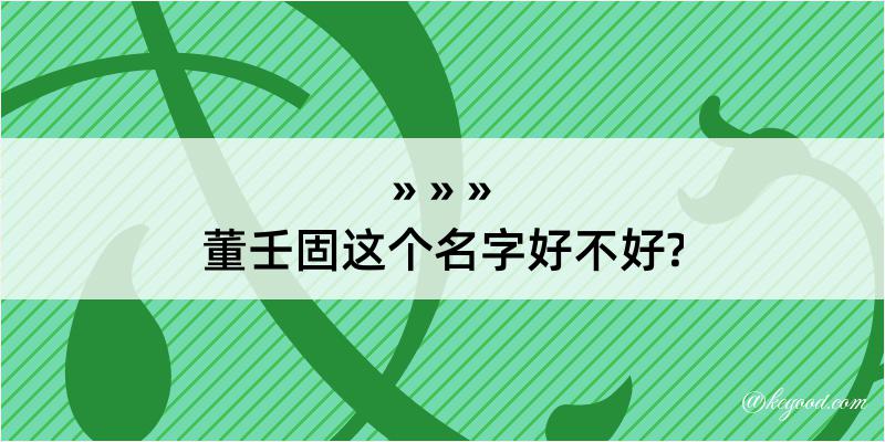 董壬固这个名字好不好?