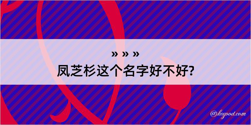 凤芝杉这个名字好不好?