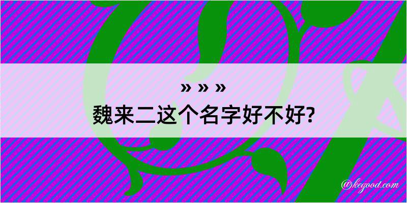 魏来二这个名字好不好?