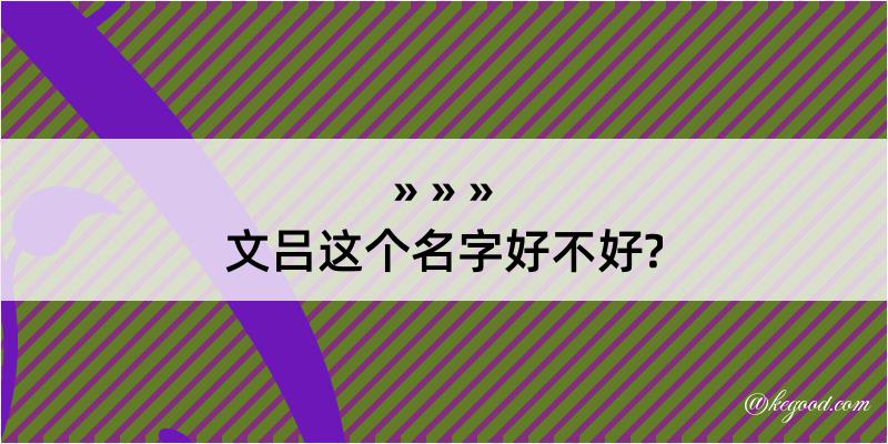 文吕这个名字好不好?