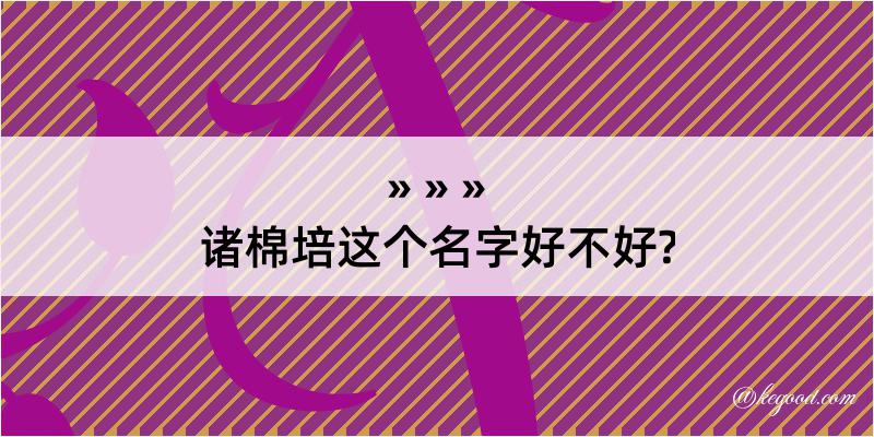 诸棉培这个名字好不好?