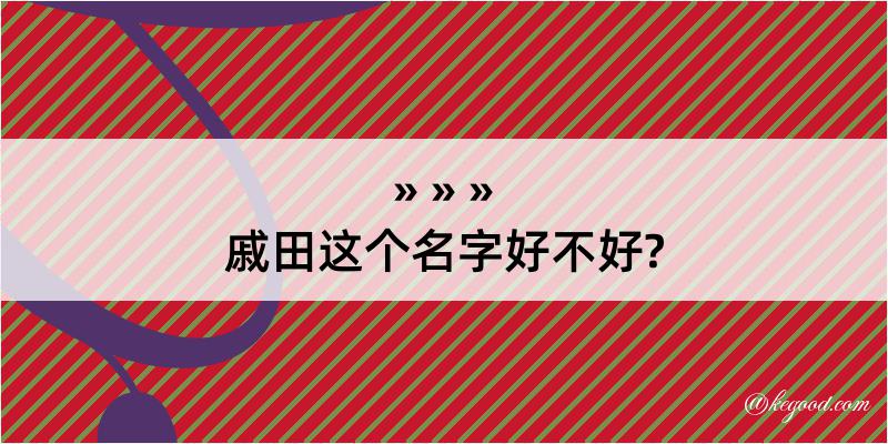 戚田这个名字好不好?