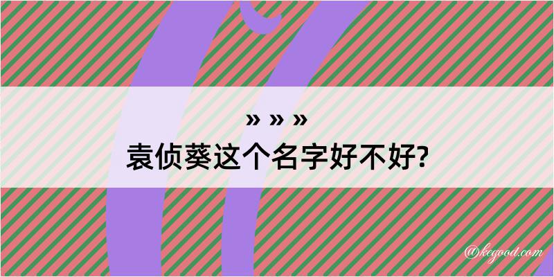 袁侦葵这个名字好不好?