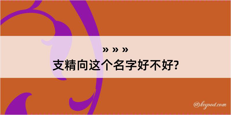 支精向这个名字好不好?