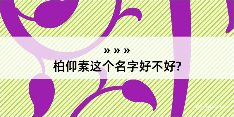 柏仰素这个名字好不好?