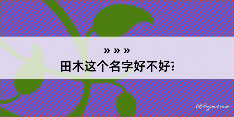 田木这个名字好不好?