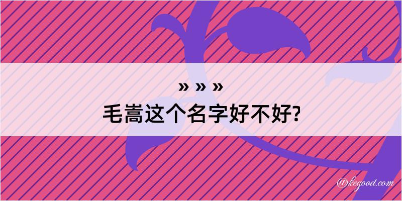 毛嵩这个名字好不好?