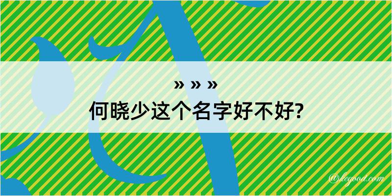 何晓少这个名字好不好?