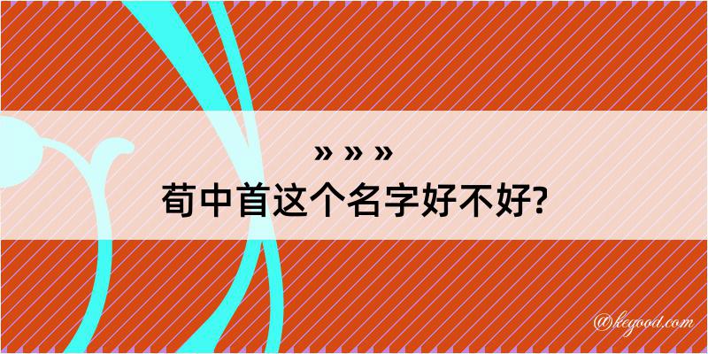 荀中首这个名字好不好?