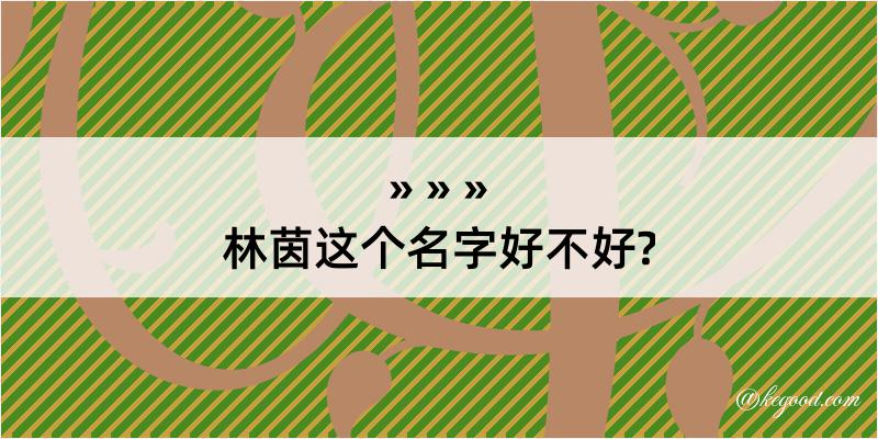 林茵这个名字好不好?