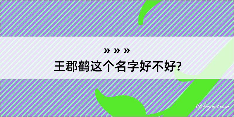 王郡鹤这个名字好不好?