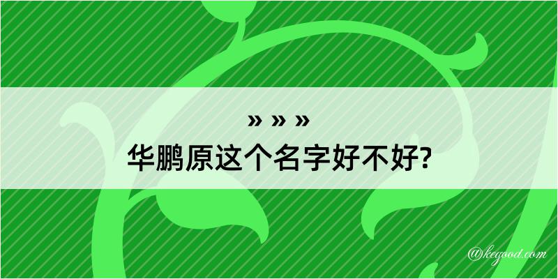 华鹏原这个名字好不好?